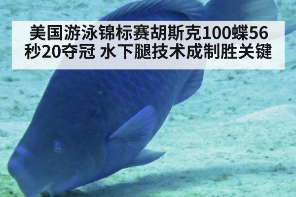美国游泳锦标赛胡斯克100蝶56秒20夺冠 水下腿技术成制胜关键