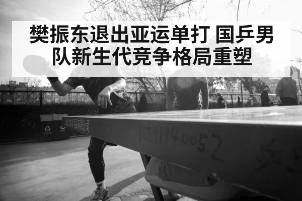 樊振东退出亚运单打 国乒男队新生代竞争格局重塑