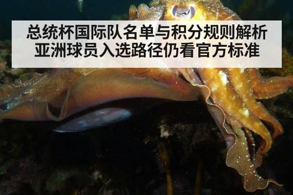 总统杯国际队名单与积分规则解析 亚洲球员入选路径仍看官方标准